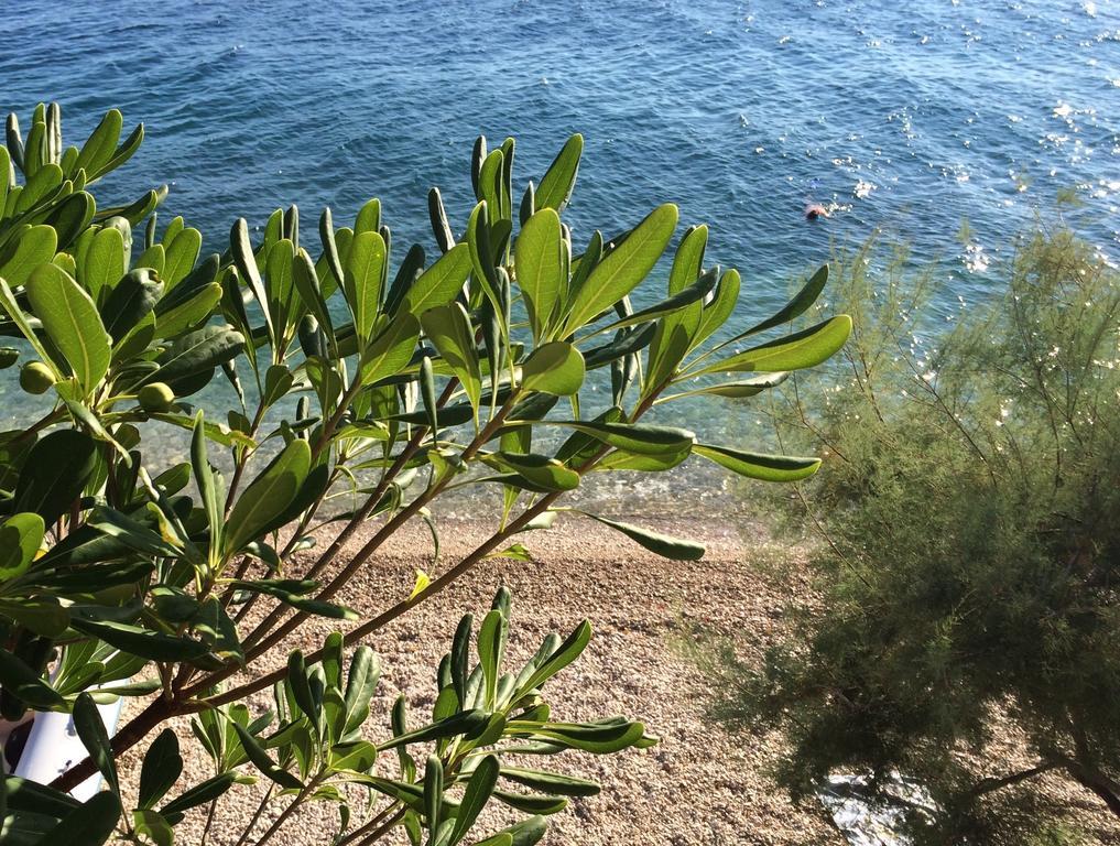 Holiday Home Mala Duba Živogošće Oda fotoğraf